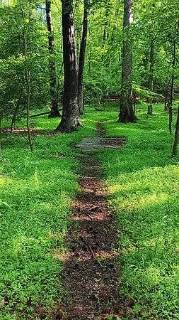 Laurel Picnic Path, GB National Park, 9:16 ratio