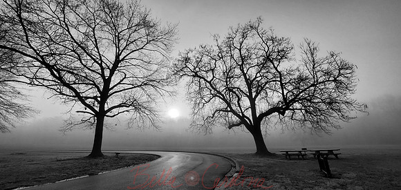 Misty Morning, GB National Park, 19x9 BW