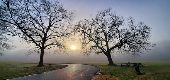 Misty Morning, GB National Park, 19x9
