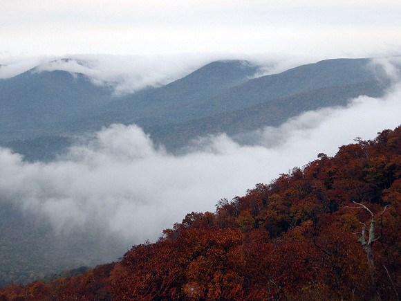 Shenandoah Valley