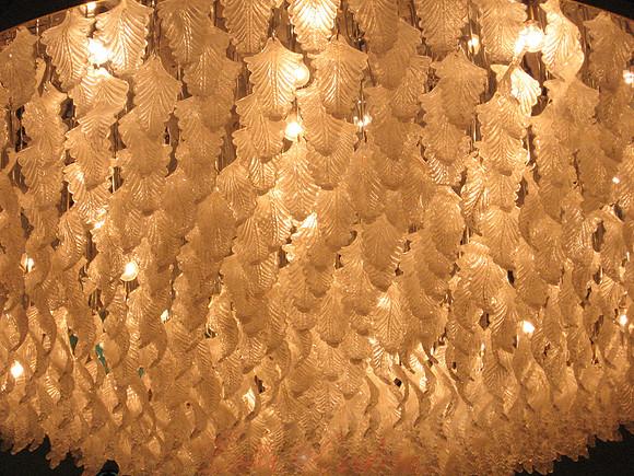 Light & Leaves