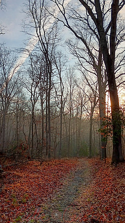 Perimeter Trail, GB National Park, 9:16 ratio